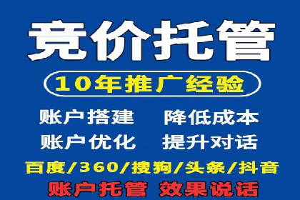 揭秘：成功SEM推广代运营公司案例解析